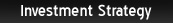 Investment Strategy