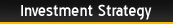 Investment Strategy